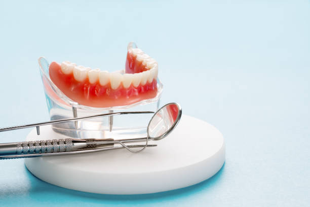 Best Dental Exams and Cleanings  in Erwin, TN